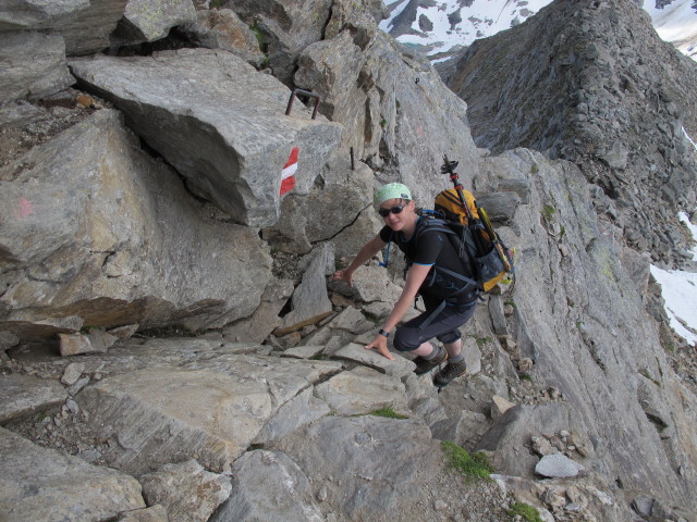 Irene am Weg 122 zwischen Rojacherhütte und Zittelhaus (27. Juli)