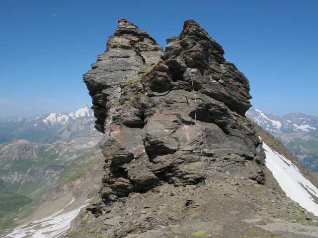 Schneehorn, 3.062 m (28. Juli)