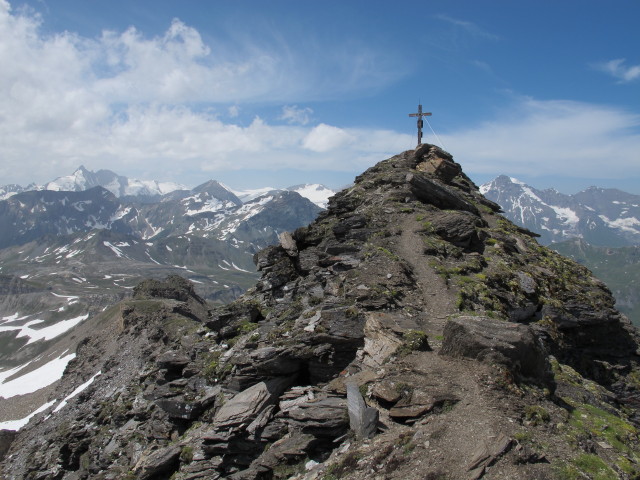 Hinteres Modereck, 2.930 m (28. Juli)