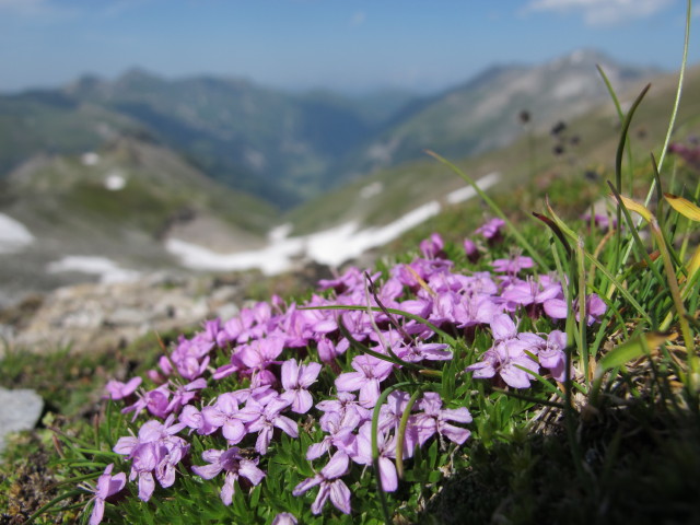 Weißenbachscharte, 2.645 m (28. Juli)