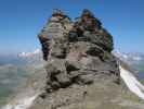 Schneehorn, 3.062 m (28. Juli)