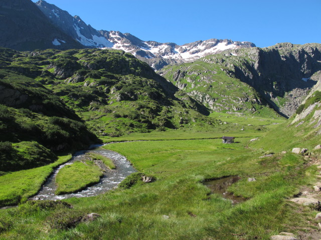 Simmingbach auf der Simmingalm (2. Aug.)