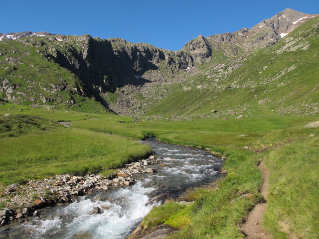 Simmingbach auf der Simmingalm (2. Aug.)