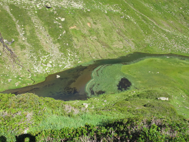 Simmingsee (2. Aug.)