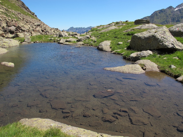 zwischen Weg 102 und Innerer Wetterspitze (2. Aug.)