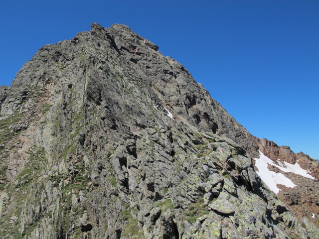 zwischen Weg 102 und Innerer Wetterspitze (2. Aug.)