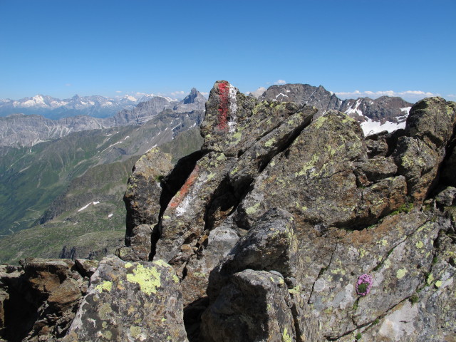 zwischen Innerer Wetterspitze und Weg 102 (2. Aug.)