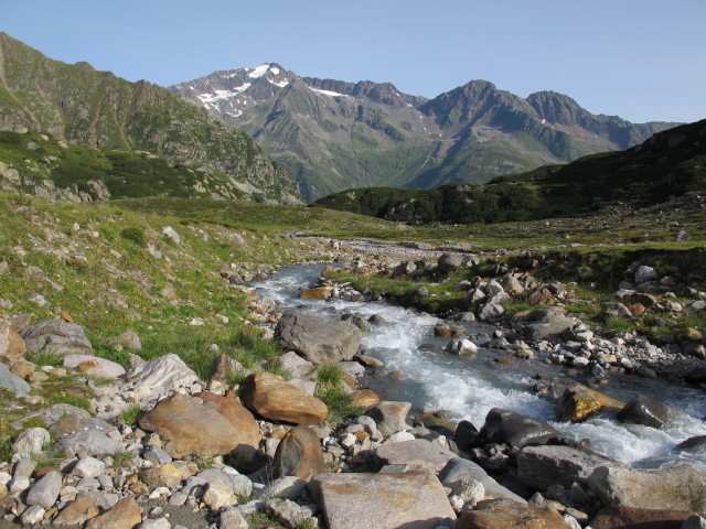 neben Weg 102 zwischen Grünau und Leo-Schöpf-Route (3. Aug.)