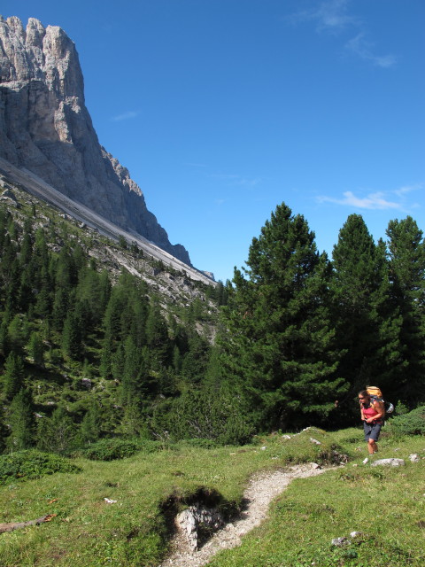 Gudrun am Weg 33 zwischen Tschantschenonalm und Kreuzjoch (10. Aug.)