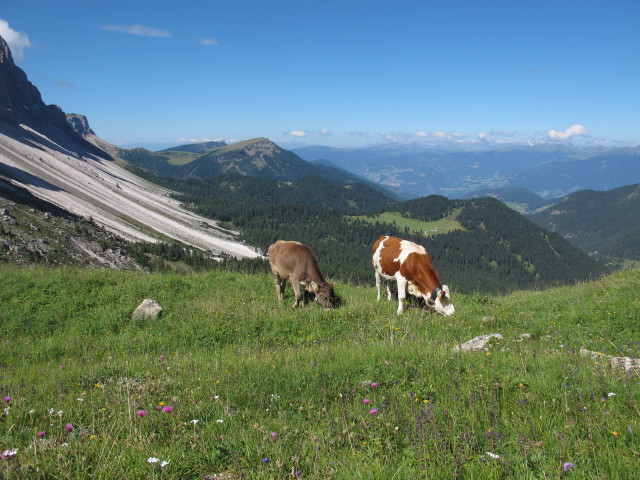 neben Weg 33 zwischen Tschantschenonalm und Kreuzjoch (10. Aug.)