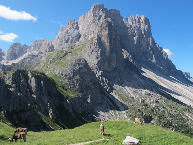 Geislergruppe (10. Aug.)