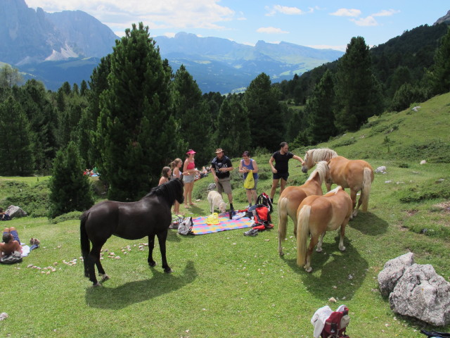 neben der Regensburger H&uuml;tte, 2.037 m (11. Aug.)