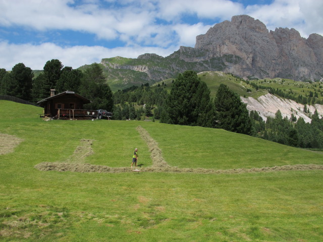 neben Weg 4 zwischen Regensburger H&uuml;tte und Col Raiser (11. Aug.)