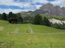 neben Weg 4 zwischen Regensburger Hütte und Col Raiser (11. Aug.)