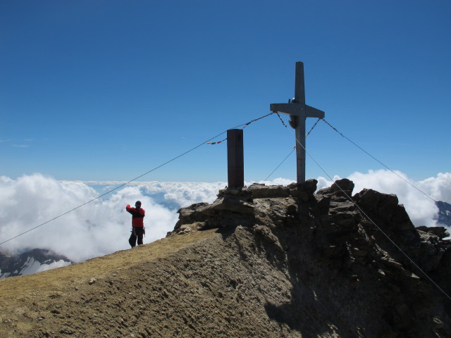 Weißkugel, 3.738 m (16. Aug.)