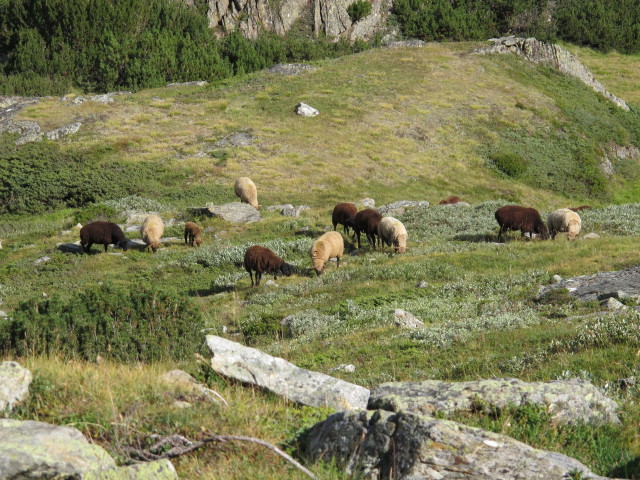 Gro&szlig;-Gilfeben (18. Aug.)