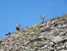 Gudrun und Christoph am westlichen Teil des Adlersteigs zwischen Weißkugelhütte und Vorderem Schmied (15. Aug.)