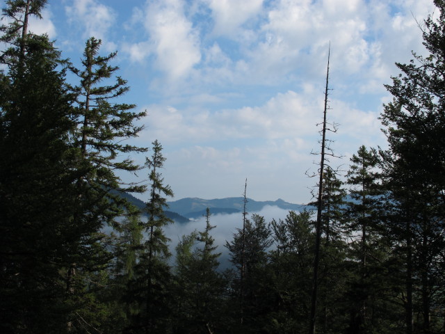 vom Seebergwald Richtung Norden