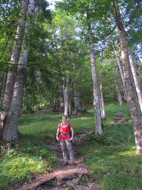 Carmen im Seebergwald