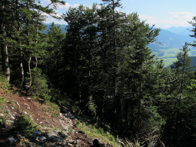 zwischen Grimmingh&uuml;tte und Tressenstein (30. Aug.)