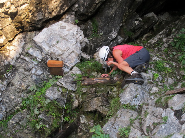 S&uuml;danstieg: Gudrun beim Grimmingbr&uuml;ndl, 1.200 m (31. Aug.)