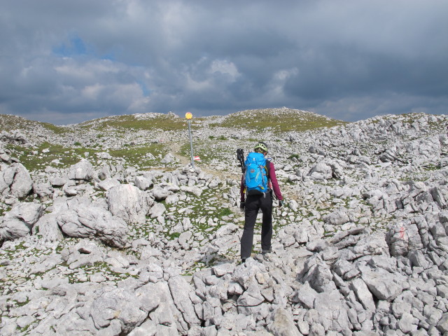 Susanne zwischen Grimming und S&uuml;danstieg (31. Aug.)