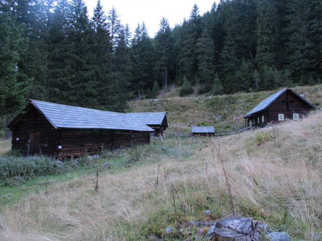 Vordere Neualm, 1.410 m (7. Sept.)