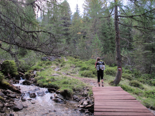 Jörg zwischen Grafenalmbach und Rudolf-Schober-Hütte (7. Sept.)