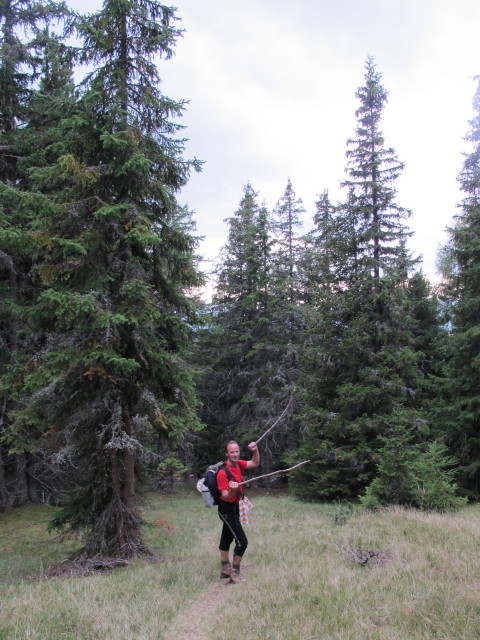 Jörg zwischen Dorfer Alm und Dorfer Hütten (8. Sept.)