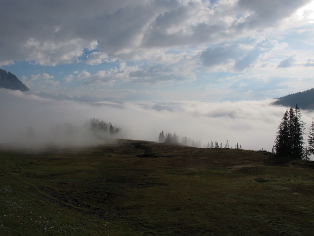 zwischen Tiergartenalm und Sunnhütte (28. Sept.)