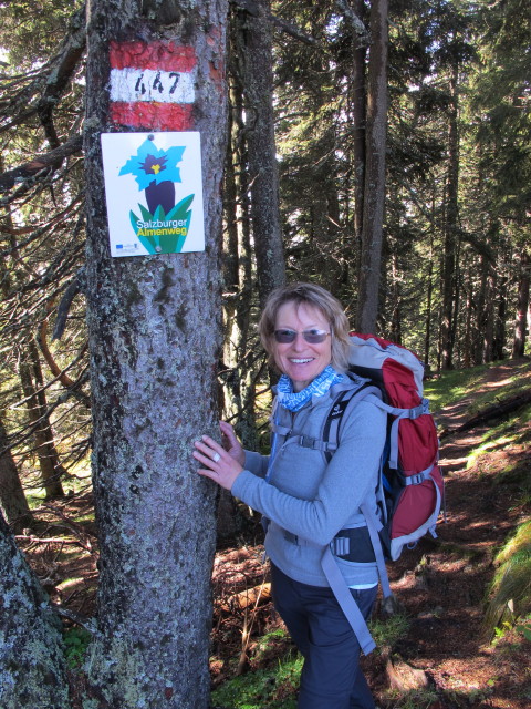 Mama zwischen Schneeberg und Hochegg (28. Sept.)