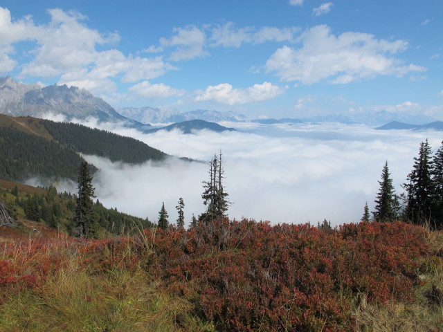 vom Hochegg Richtung Nordosten (28. Sept.)