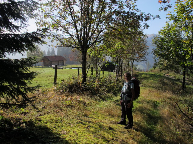 Mama zwischen Schindleggwald und Metzlehenalm (28. Sept.)