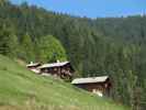 zwischen Schindleggwald und Metzlehenalm (28. Sept.)