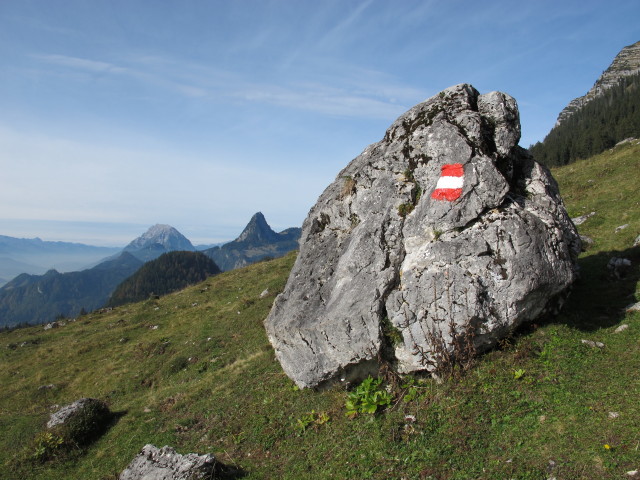 Weg 217 zwischen Hinteregger Alm und Höllerris'n