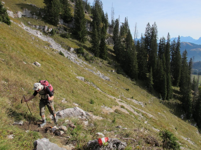Christoph am Weg 217 zwischen Höllerris'n und s' Zirml