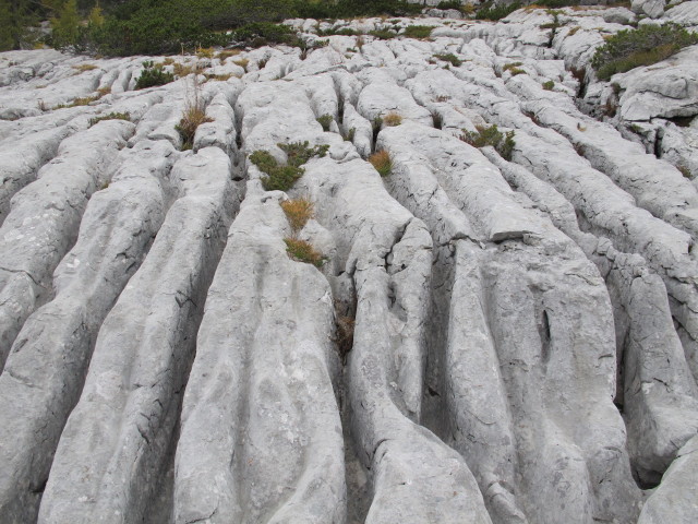 neben Weg 287 zwischen Mausloch und Aiplhütte