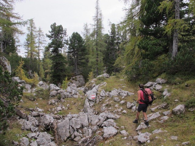 Gudrun am Weg 287 zwischen Mausloch und Aiplhütte