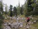 Gudrun am Weg 287 zwischen Mausloch und Aiplhütte