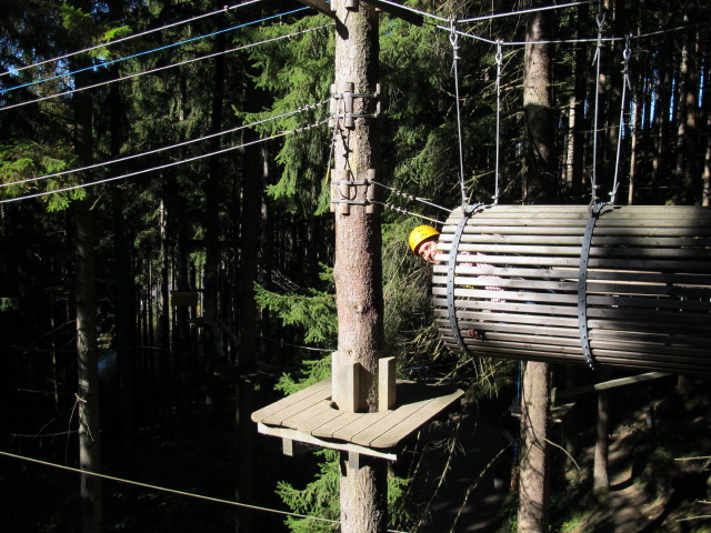 Florian im Parcours 'Schwarzspecht' im Kletterwald Buchenberg