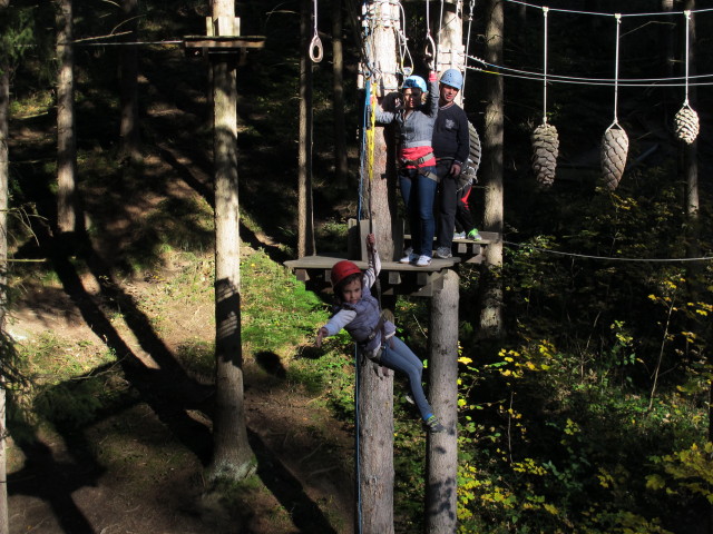 Daria, Diana und Walter im Parcours 'Schwarzspecht' im Kletterwald Buchenberg