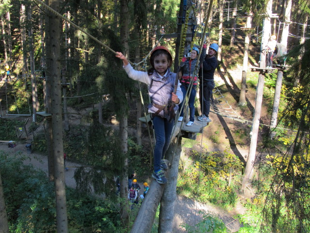 Daria, Diana und Walter im Parcours 'Schwarzspecht' im Kletterwald Buchenberg