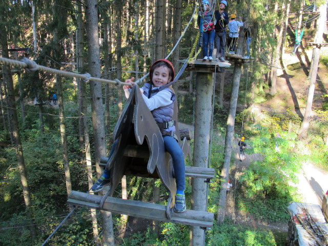 Daria, Diana und Walter im Parcours 'Schwarzspecht' im Kletterwald Buchenberg