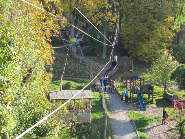 Walter im Parcours 'Eichelhäher' im Kletterwald Buchenberg