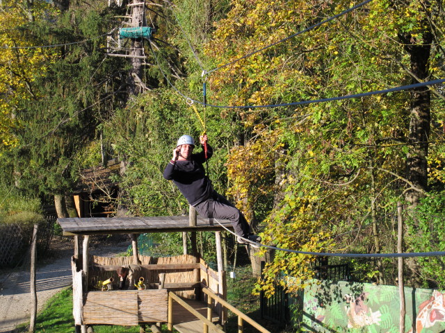 Walter im Parcours 'Eichelhäher' im Kletterwald Buchenberg