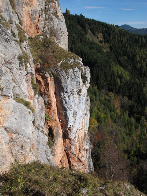 'Feuervogel' von der 'Hühnerleiter' aus