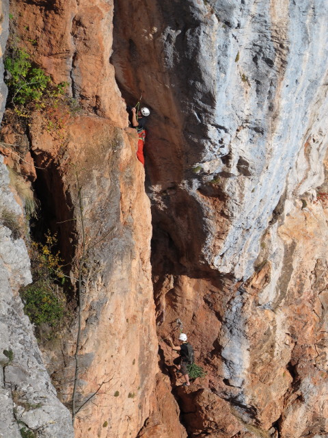 'Feuervogel' von der 'Hühnerleiter' aus