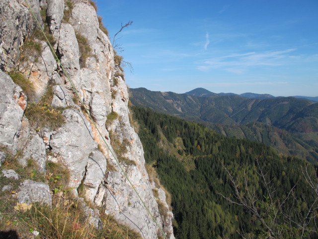 'Feuervogel' von der 'Hühnerleiter' aus