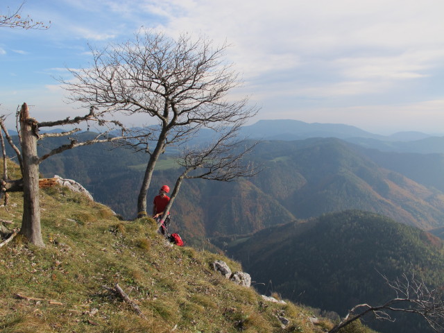 'Hühnerleiter': Dieter im Ausstieg