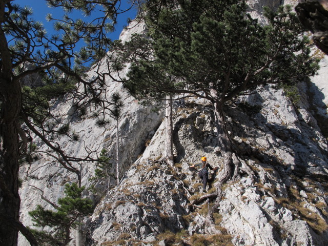 'Brunnerweg': 7. Seill&auml;nge